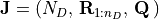 \mathbf{J} = \left(N_D,\, \mathbf{R}_{1:n_D},\, \mathbf{Q}  \,\right)